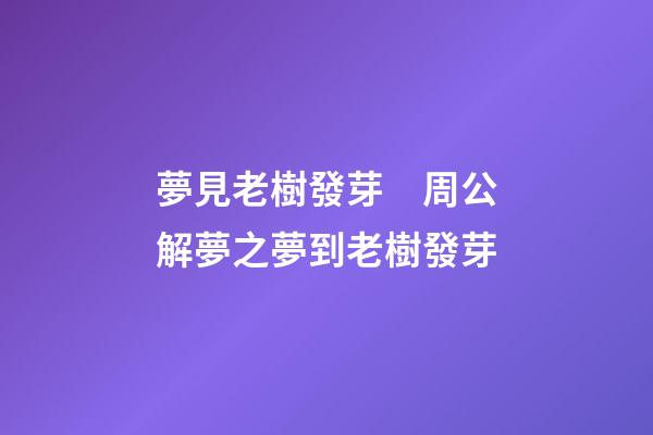 夢見老樹發芽　周公解夢之夢到老樹發芽